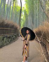 Kyoto’s Well-Known Bamboo Forest