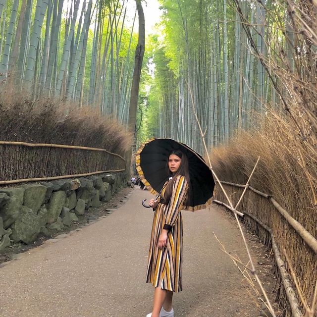 Kyoto’s Well-Known Bamboo Forest