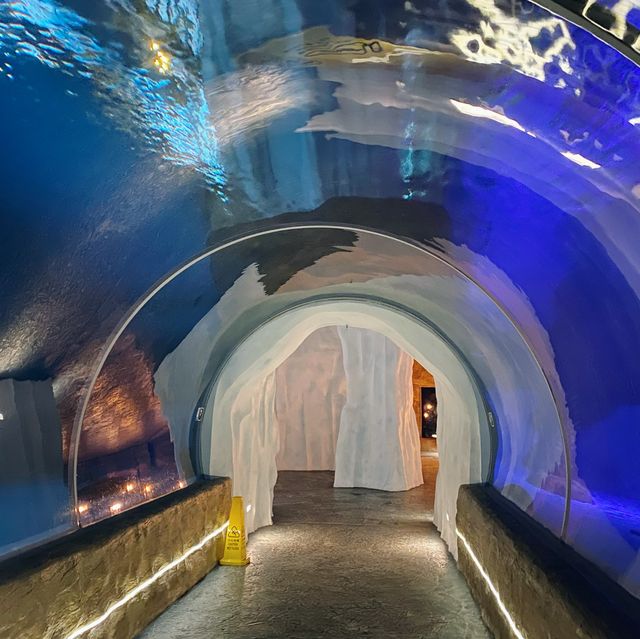 北極之旅