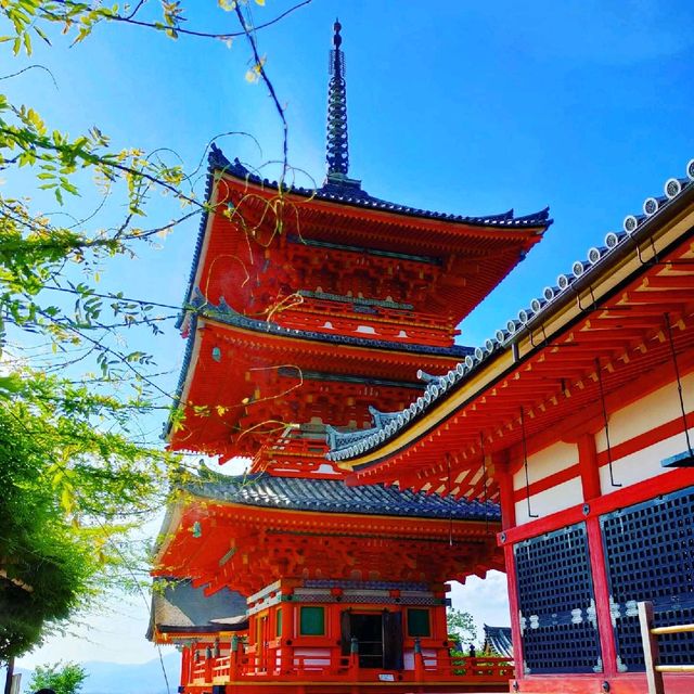 #Kiyomizudera temple in Summer♥️.
