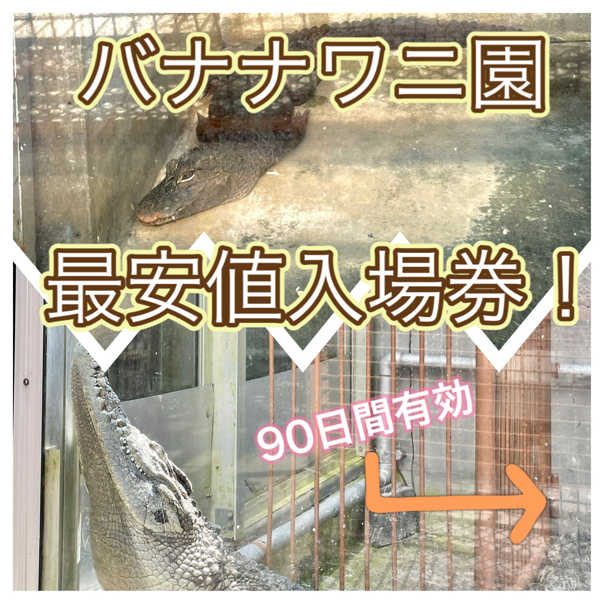 熱川バナナワニ園 熱帯植物編 Trip Com 伊豆の旅のブログ 熱川バナナワニ園 熱帯植物編 Trip Com 伊豆の旅のブログ