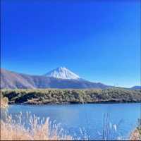 富士五湖-西湖