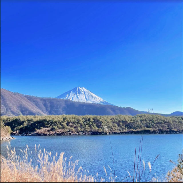 富士五湖-西湖