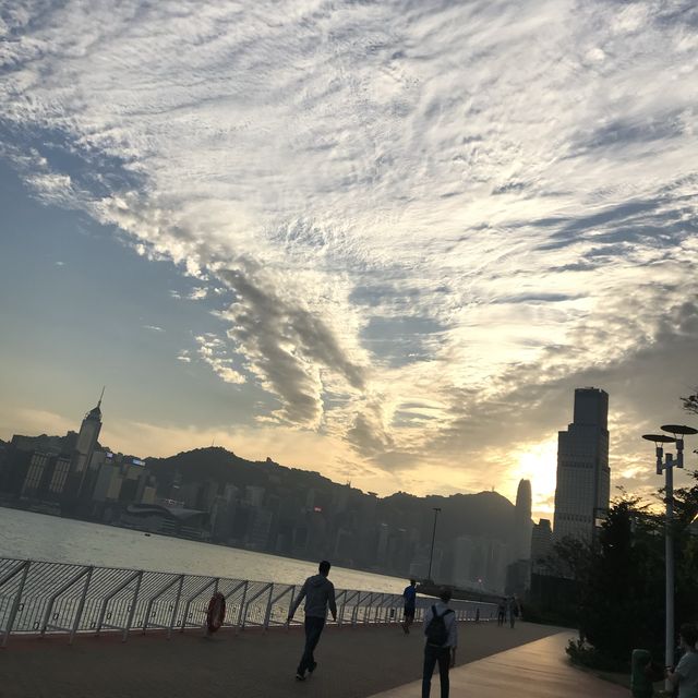 🌊🌊紅磡海濱花園散步好去處💕