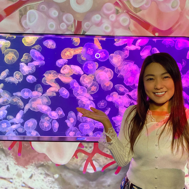 《我與水母有個約會💕》