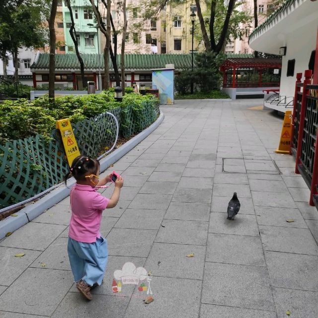 中式公園放電去