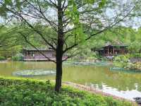 宮廷劇御用取景場地~荔枝角公園🏞️