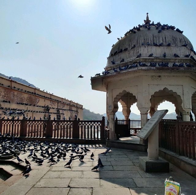 Amer Fort, Jaipur 