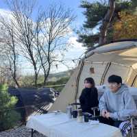 ⛺️캠핑은 이곳으로⛺️ 대부도 "바다향기캠핑장"