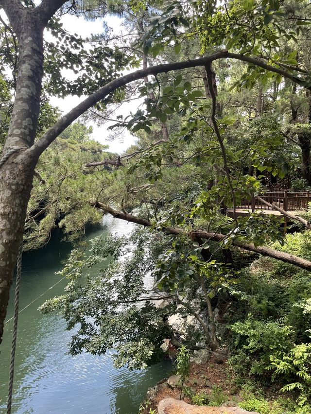 서귀포에서 카약과 테우를 탈 수 있는 곳, 쇠소깍🏞