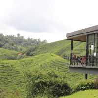 Boh Tea Centre