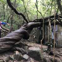 昂坪平原俯瞰整個西貢景色