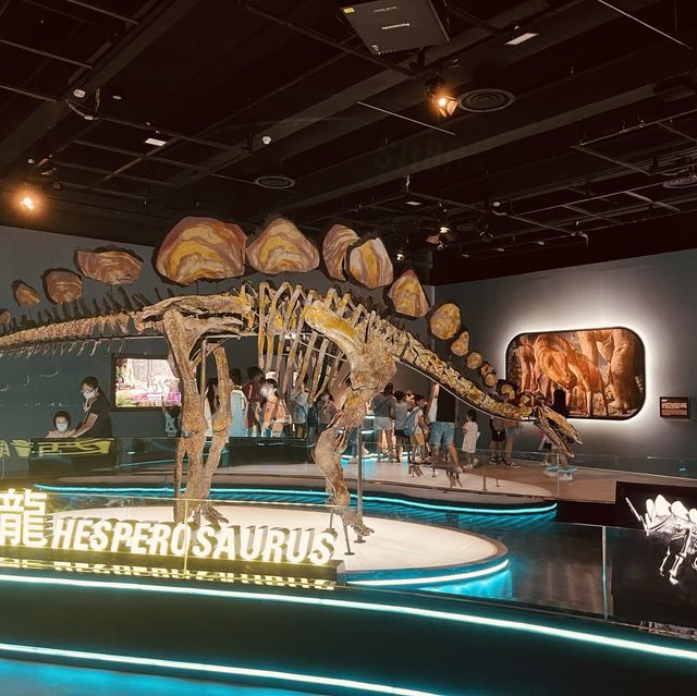 恐龍🦖暑日之旅