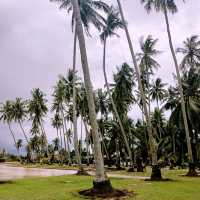 Experience Kampung Vibes in Kampung Agong!