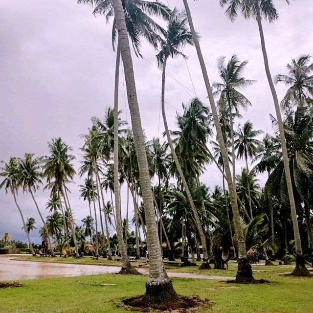 Experience Kampung Vibes in Kampung Agong!