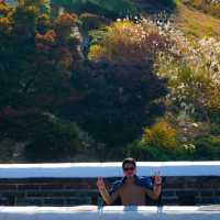 Suwon Fortress 