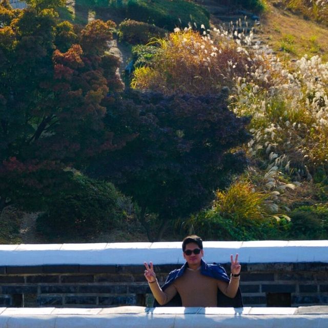 Suwon Fortress 