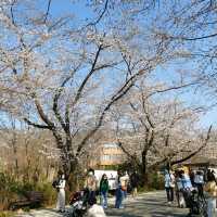 Jeonju Zoo