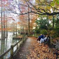 Autumn in Osaka 