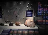 What’s inside the Perth Museum!