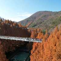 Hanging Bridge