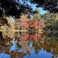 輕井澤嘅紅葉