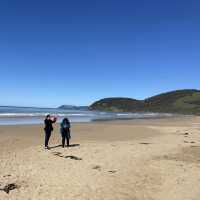 Lorne beach