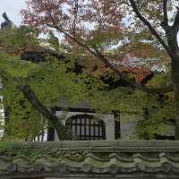 きれいな庭園と国宝の建物、土岐川を望む事も出来る歴史ある禅寺