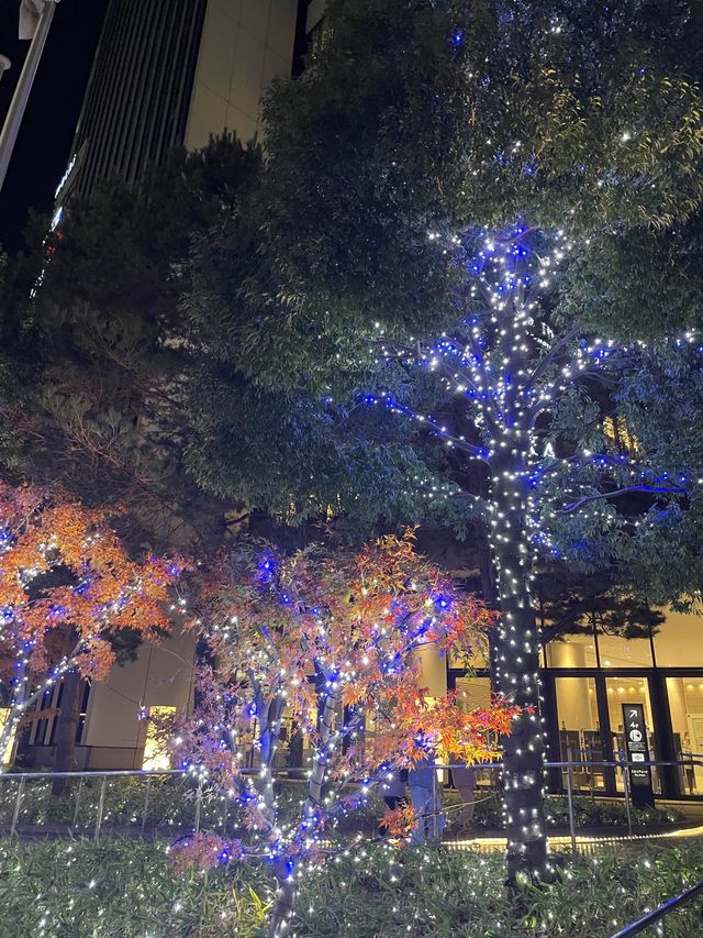 係東京晴空塔睇黃昏與夜景🌃🌇 係東京晴空塔睇黃昏與夜景🌃🌇