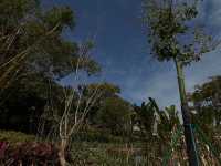 BBQ at Portas Do Cerco
