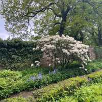 英國曼徹斯特 超大綠化公園 欣賞不同種類嘅植物