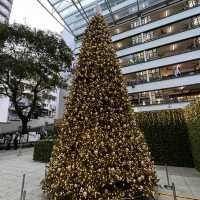 今年PMQ真係好靚🎄⛄️❄️