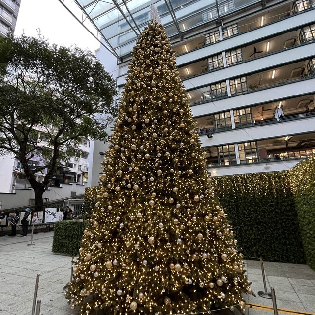 今年PMQ真係好靚🎄⛄️❄️