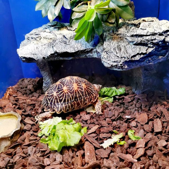 Shanghai Ocean Aquarium