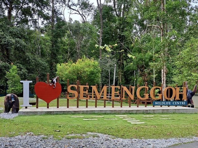 Semenggoh Nature Reserve - Kuching, Malaysia 