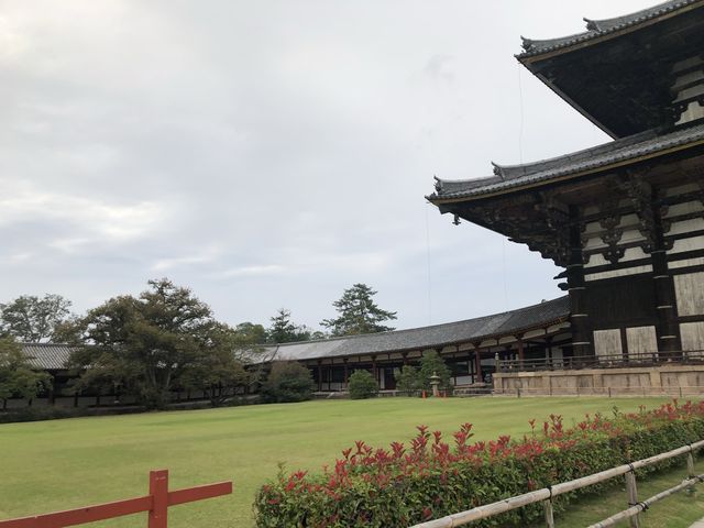 Nara - First permanent Capital of Japan