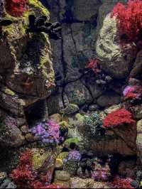 Largest Indoor Aquarium in Europe