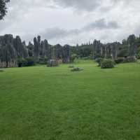 Stone Forest + Kunming Yunnan 