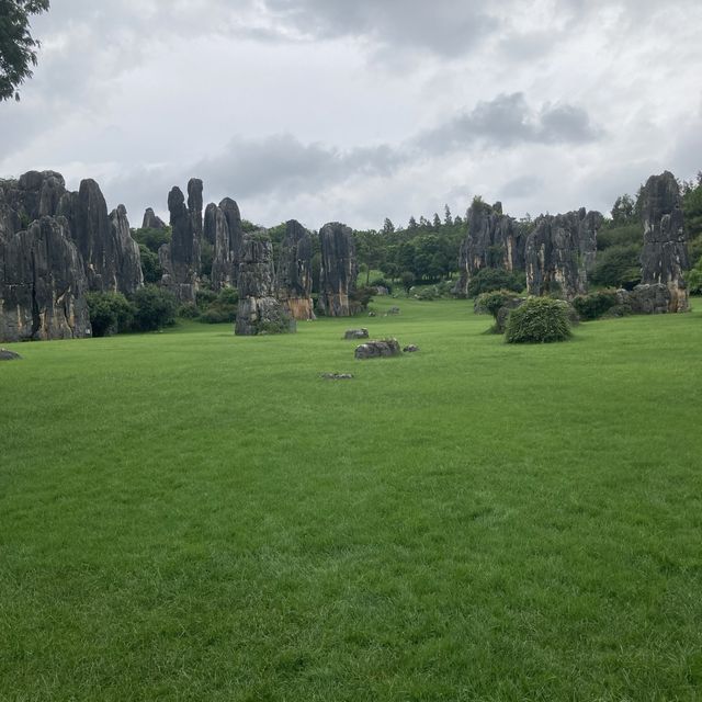 Stone Forest + Kunming Yunnan 