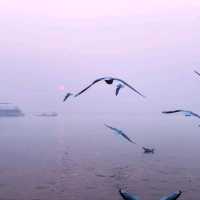 Magical Sunset at Varanasi's Ganges River