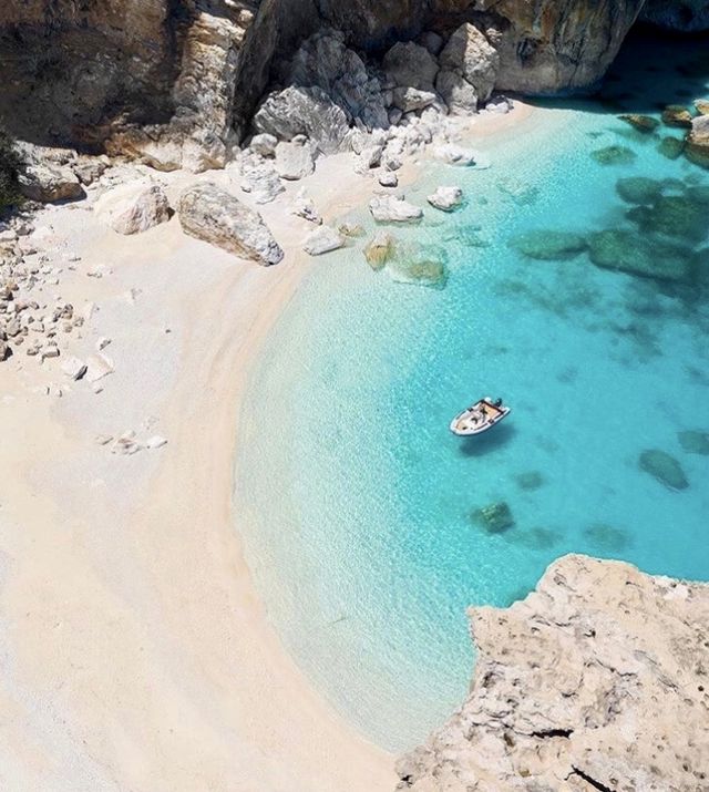 Sardinia, Italy, the must-visit transparent jellyfish sea in life.