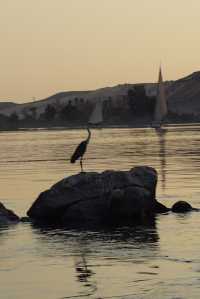 【Travel around the 🌍 world】Egypt 🇪🇬. Aswan Felucca on the Nile River.