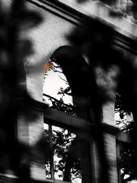 Hong Kong · Black and White Art Center hidden in the park ｜