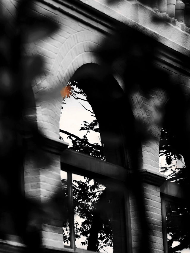 Hong Kong · Black and White Art Center hidden in the park ｜