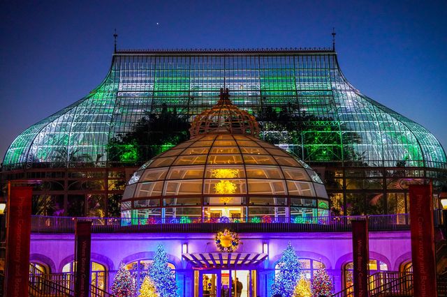 Phipps Conservatory's Winter Flower Show | Phipps Conservatory