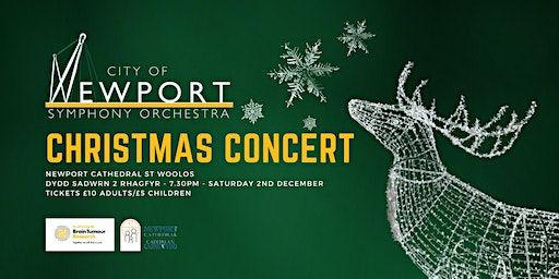 Christmas Concert | Newport Cathedral, St Woolos