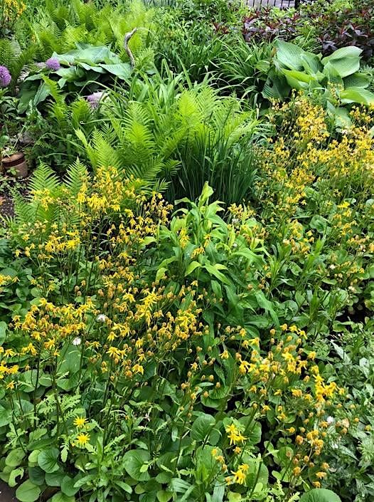 Designed for Nature Garden Tour | Ticket/Map Pick-up location - Doylestown Borough Hall Parking Lot