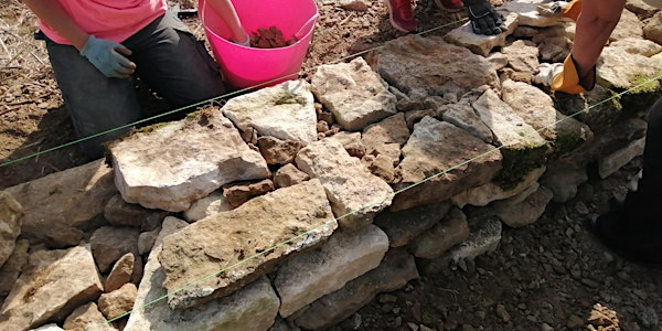 Dry Stone Walling for Beginners: 2-day course | Volunteer Training Centre