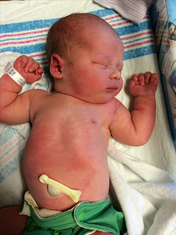 Understanding Your Newborn | The Pure Parenting Shop
