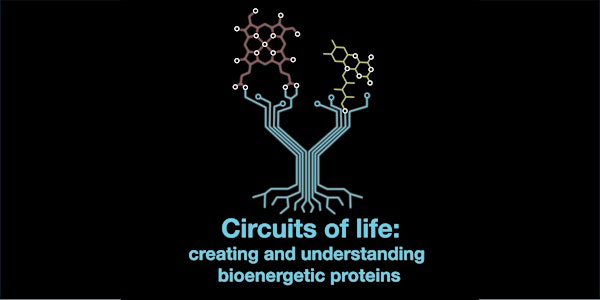Circuits of Life: creating and understanding bioenergetic proteins | Armada House